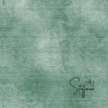 " DENIM - #MINTGRÜN " -    Jersey